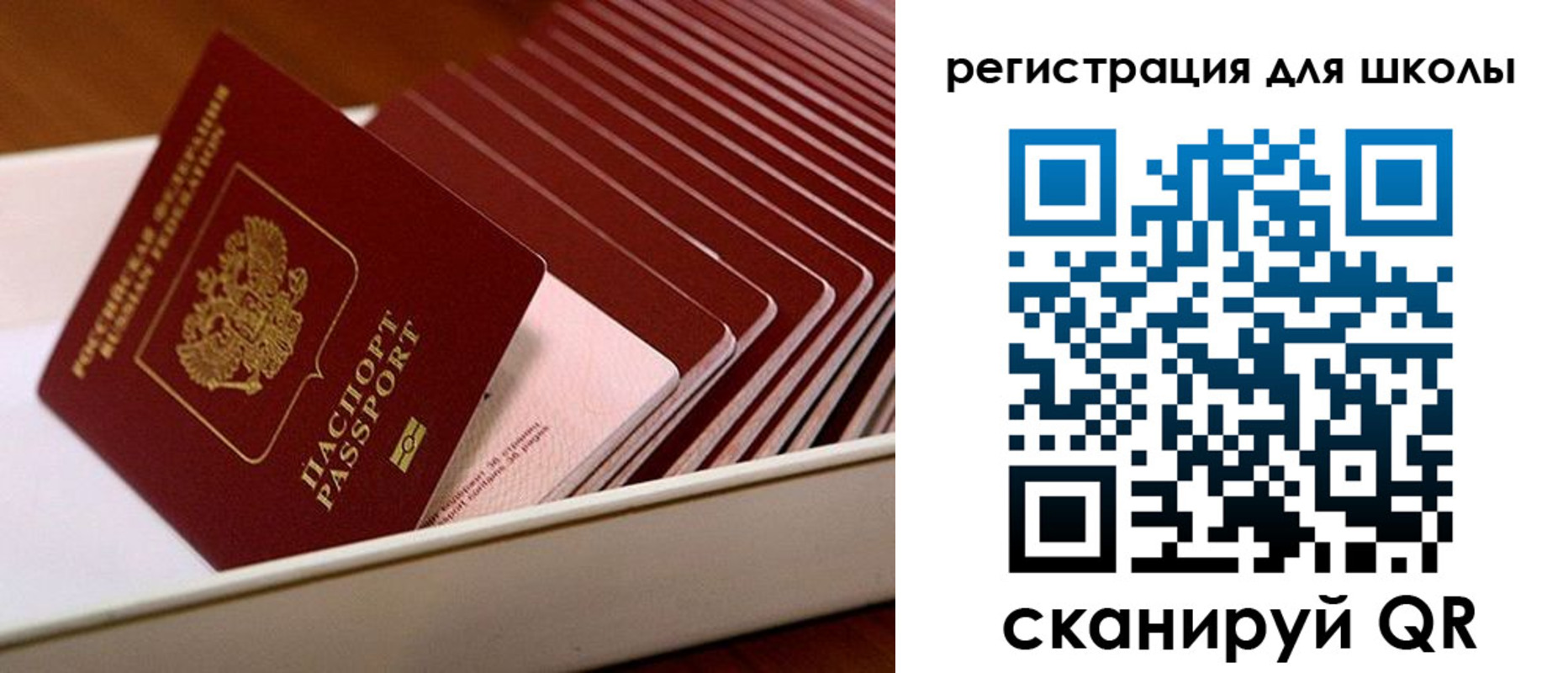 прописка гарантия в Дальнереченске